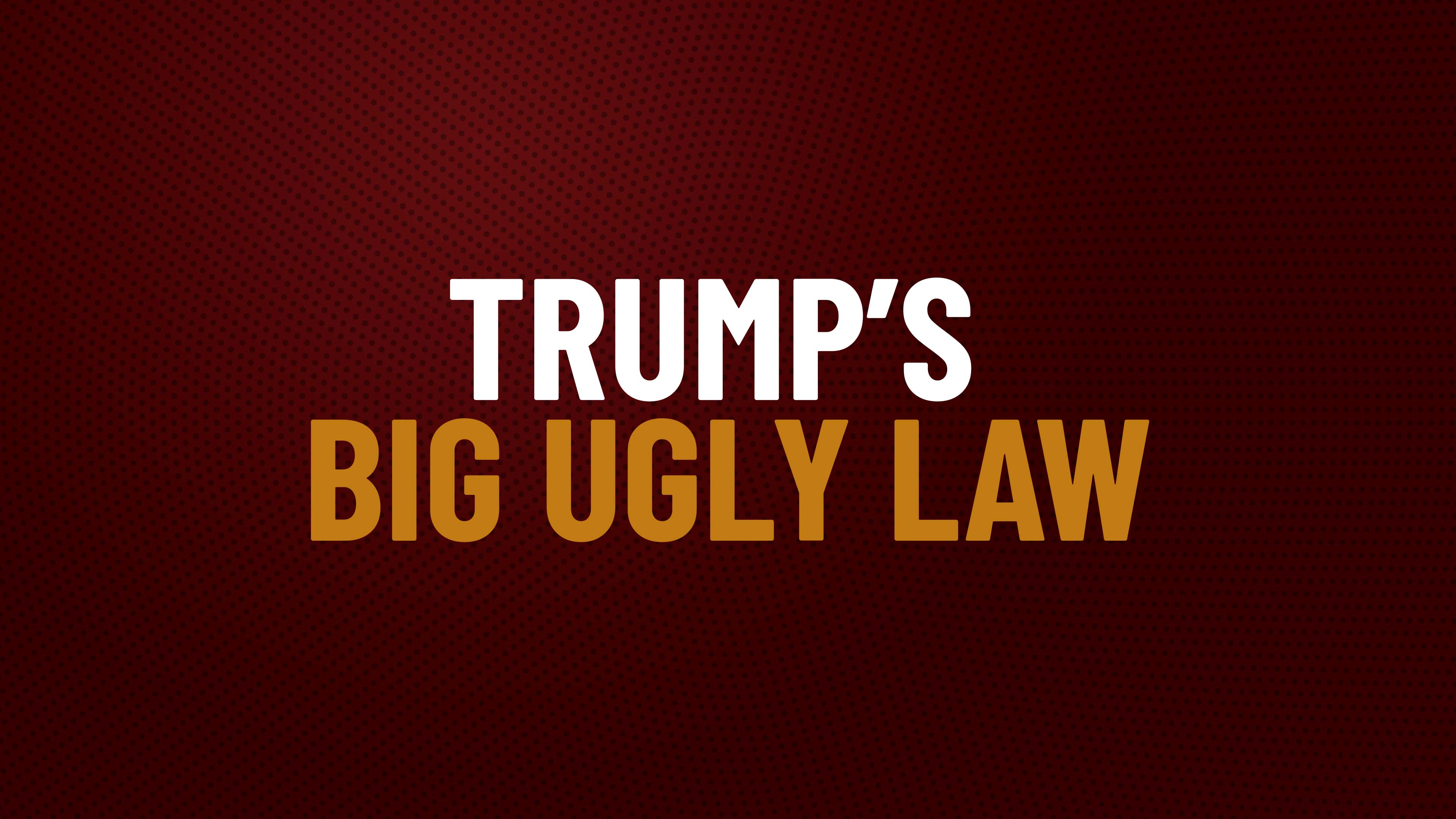 Trump's Big Ugly Law